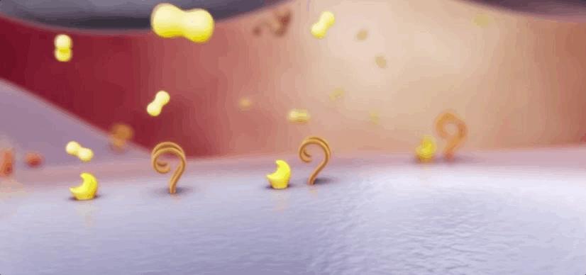 血小板破裂是什么意思,血小板凝固原因