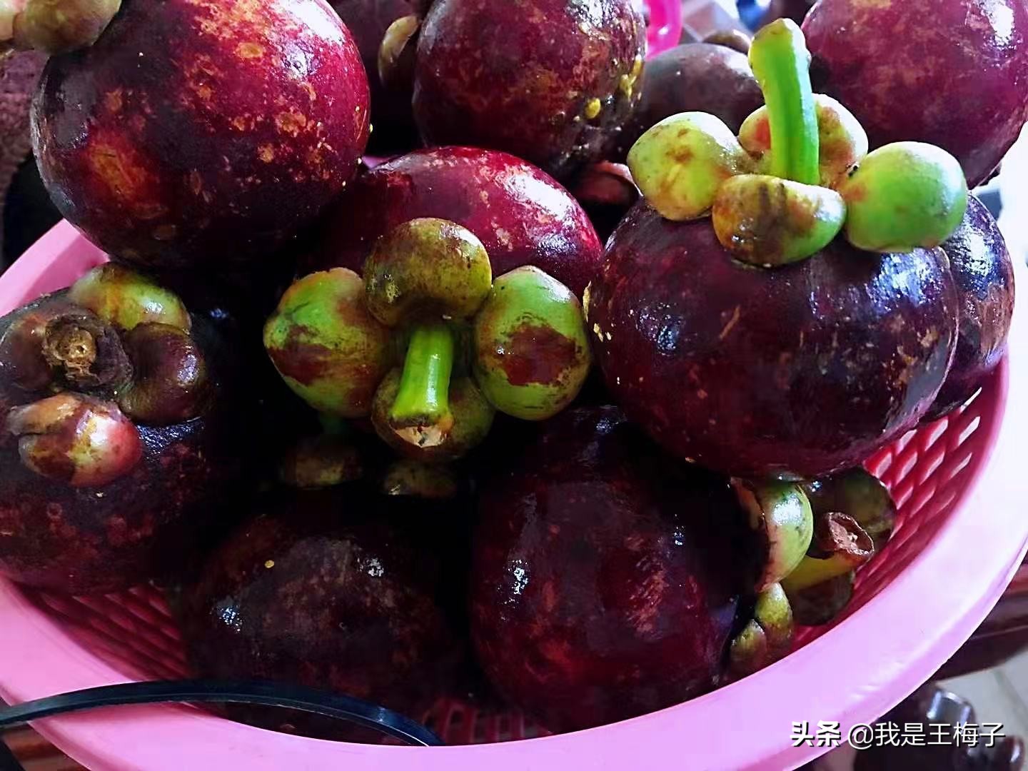 山竹保存是冷藏还是常温,山竹怎样保存最好能放多少天