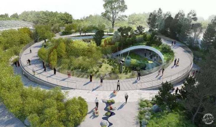 外国人为什么这么喜欢大熊猫呢,外国人究竟有多爱大熊猫