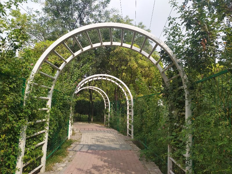 东环公园冬季图片,东环公园景点的介绍