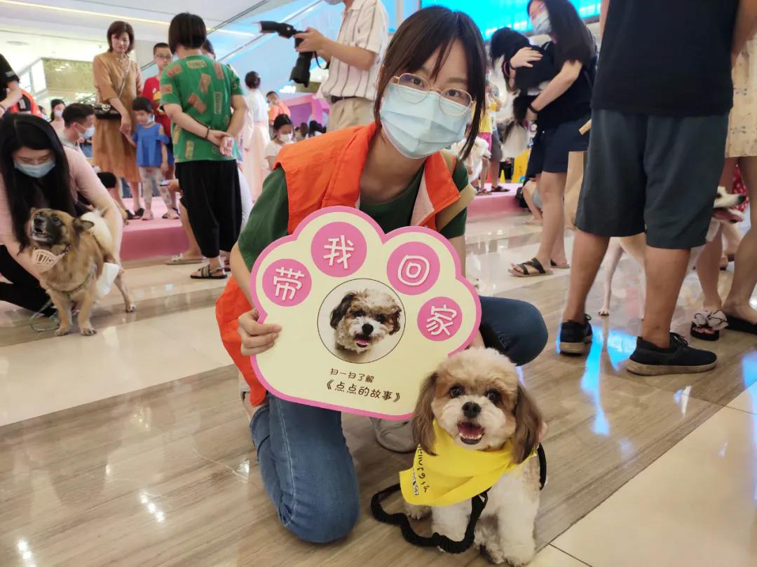 CPF活动预告|阿派第30届领养日——人间值得，只要它能与你相遇