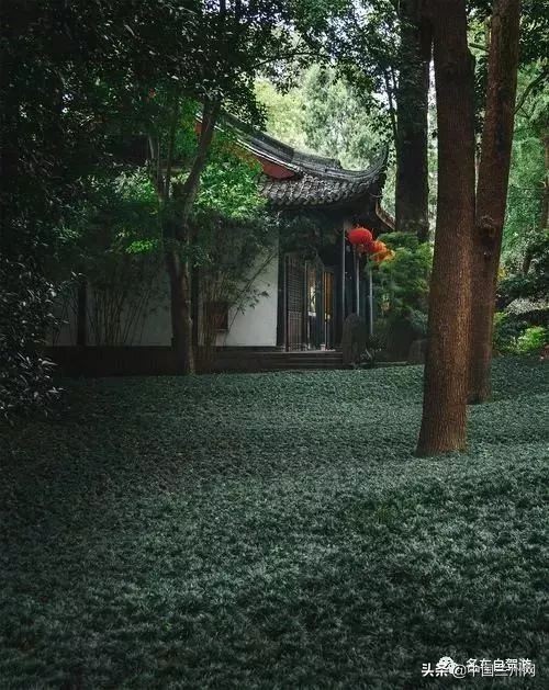 兰州到甘谷绿巨人开通时间,兰州至上海绿巨人