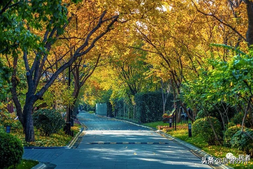 青剑湖新楼盘即将开盘,青剑湖新楼盘最新消息