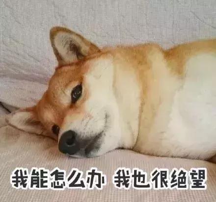 珠海小区不租车位吗,珠海车位买卖规定