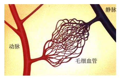 最有效祛痘疤方法,祛痘疤最有效的方法学生