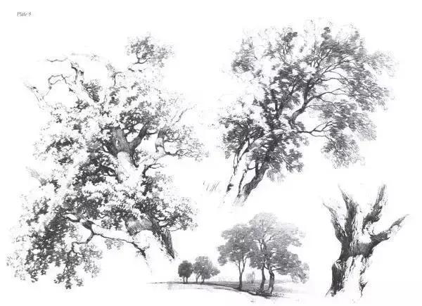 不会画风景咋办,不会画速写怎么办