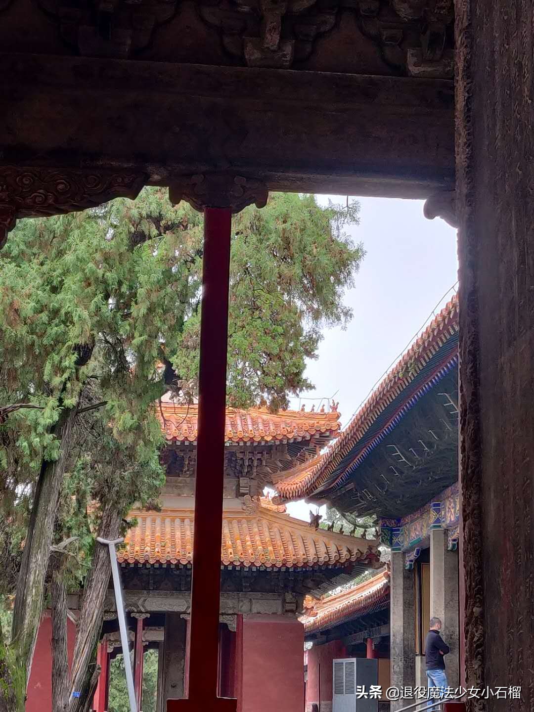 可移动的家Day12曲阜孔庙