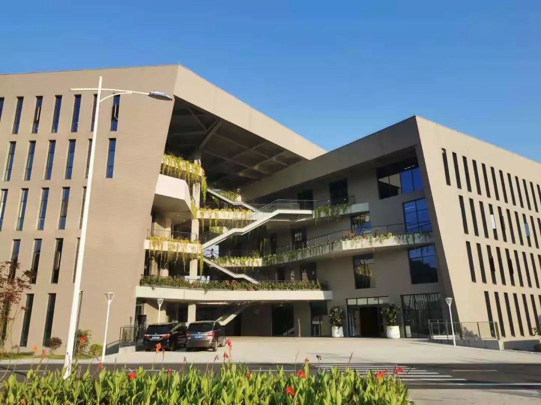 “科韵路精神”在智慧城延续——我会秘书处走访网易总部