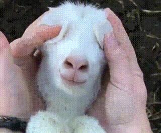 懂得护肤的女人,女人脸上打玻尿酸有什么用