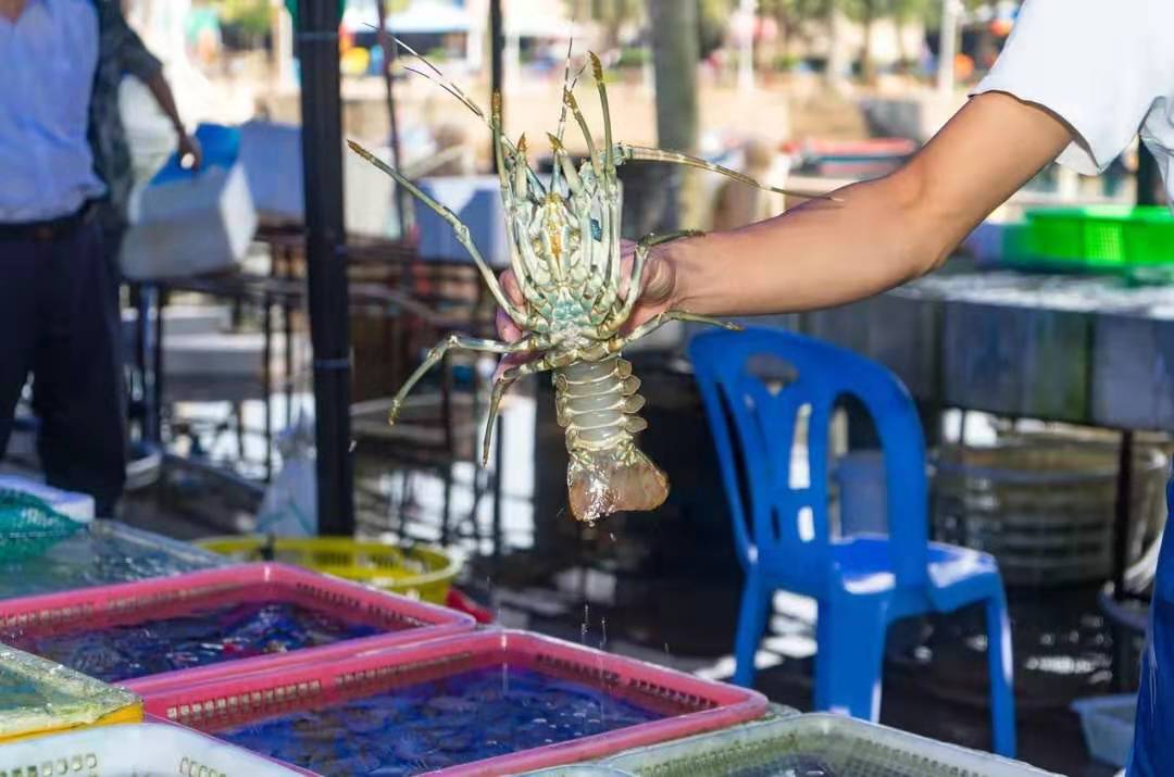 广东十大绝美岛屿,广东下川岛风景图片