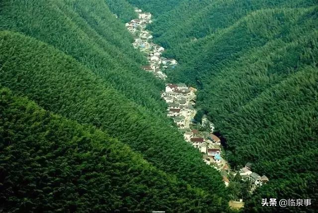 最新安徽61县市经济实力排行榜！临泉排名前列！