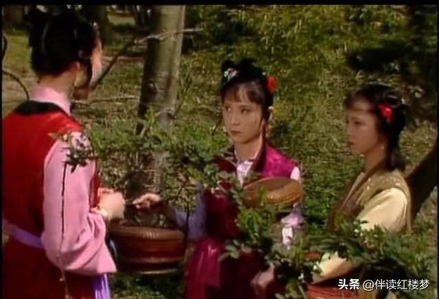 红楼梦第四十回牙牌令赏析,红楼梦第四十六回鸳鸯形象特点