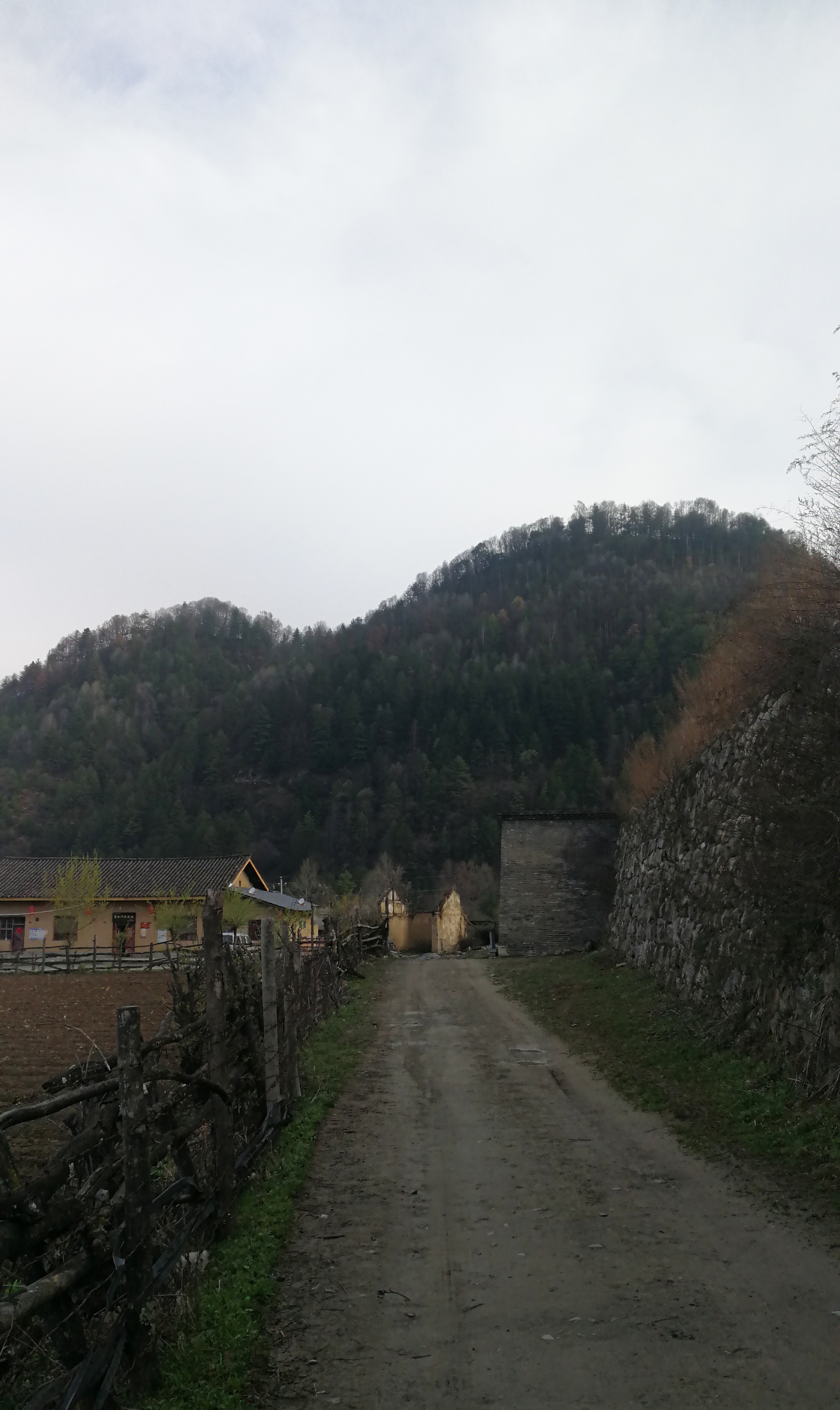 西安周至踏青赏花的路线攻略,周至老县城旅游攻略