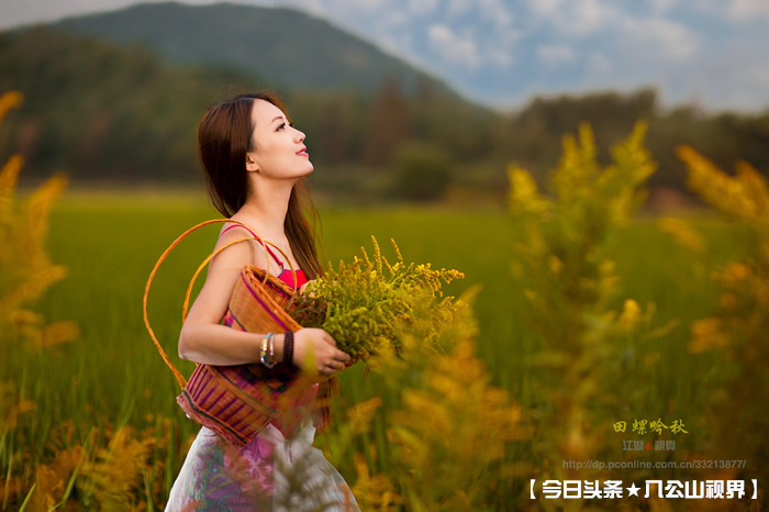 七律60首咏秋,七律咏秋天的诗