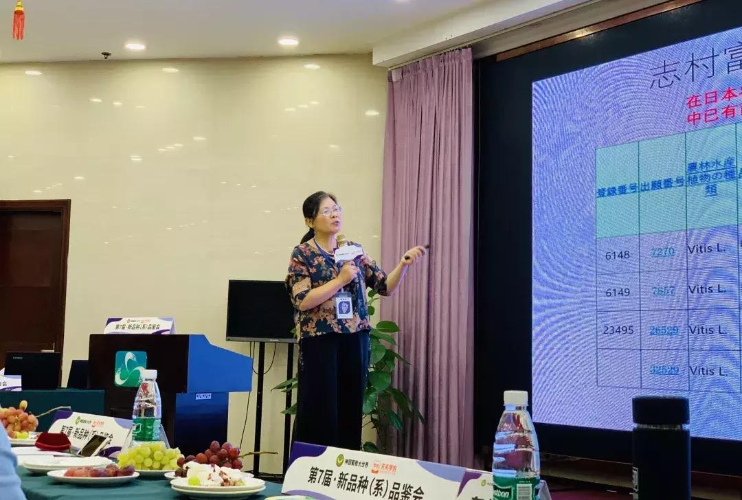 葡萄新品种发展潜力,未来5年最具潜力的葡萄品种