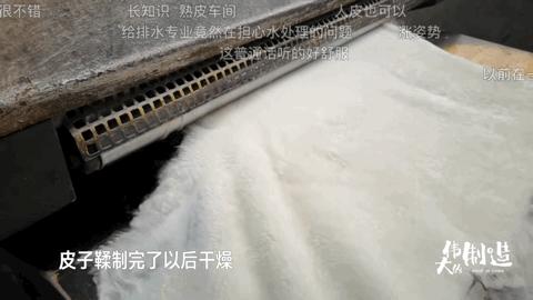 来到“顶级”毛皮一体基地，不用万把块就能拥有的皮草自由