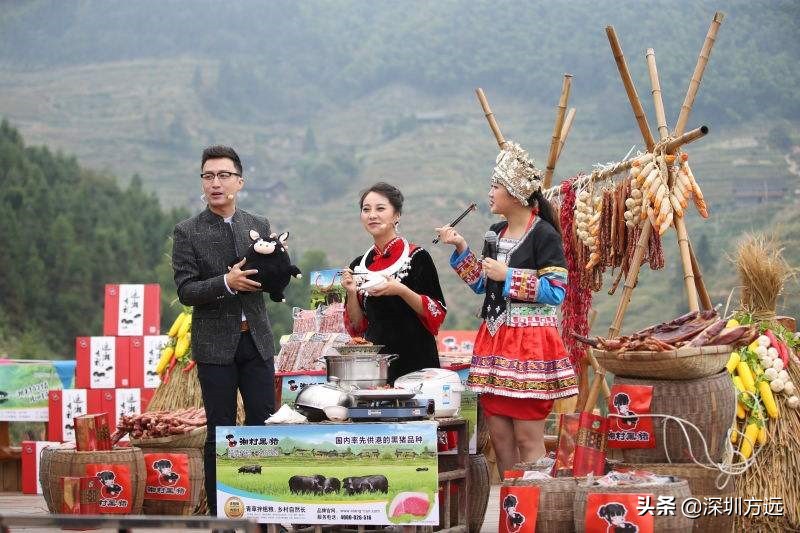 直播电商类盈利模式解析,直播电商模式