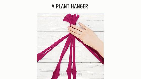 在家怎么无土种菜简单又安全,家庭种菜不用肥料种菜方法