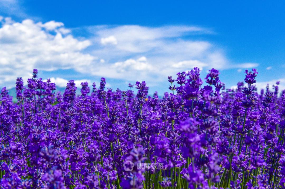 旅行中的故事讲述,旅行过程中的故事