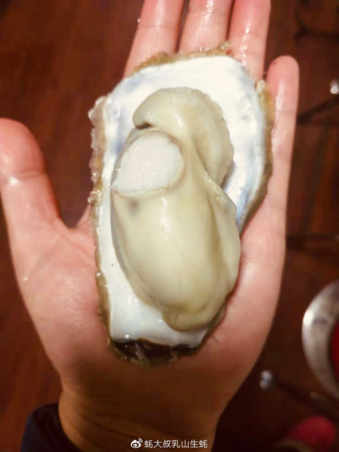 蚝先生乳山鲜蚝,蚝小二正宗乳山生蚝