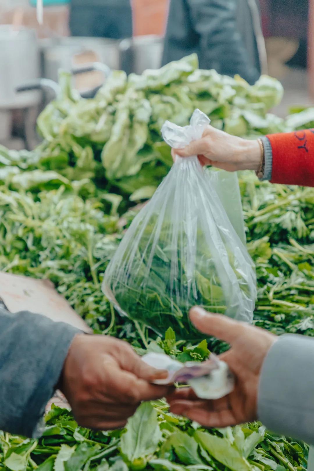 沙河边的野生菜市，是成都嬢嬢的狂欢现场