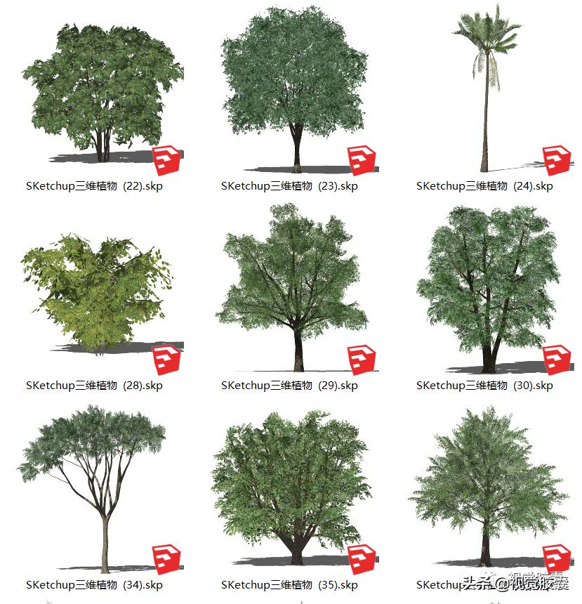 不去用模型树，你根本不知道它有多“香”？