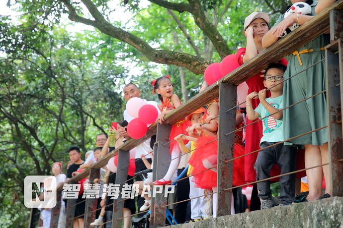 最特别的“百日宴”!小长颈鹿父亲节办派对