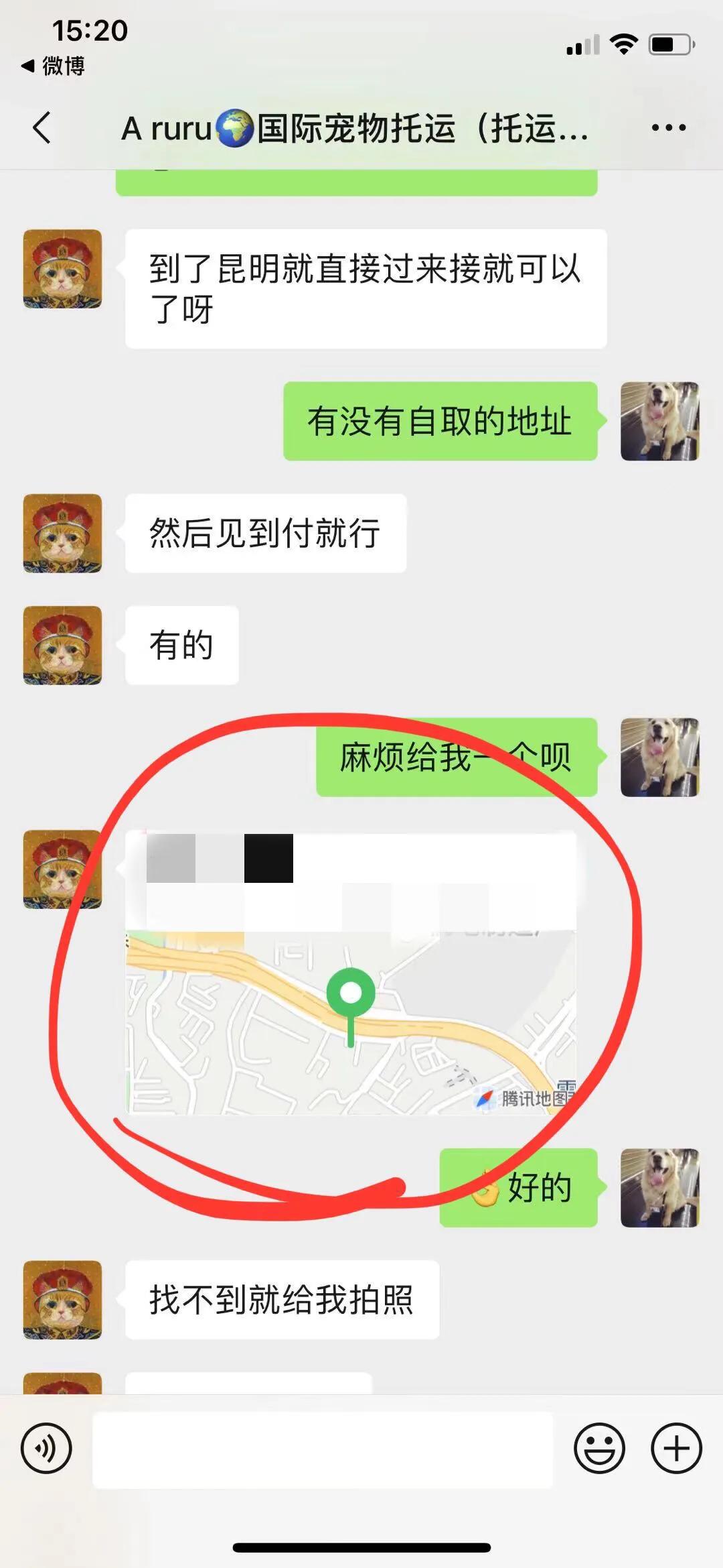 金毛siri被无良商家托运真实视频,金毛被主人丢弃了真是太可怜了