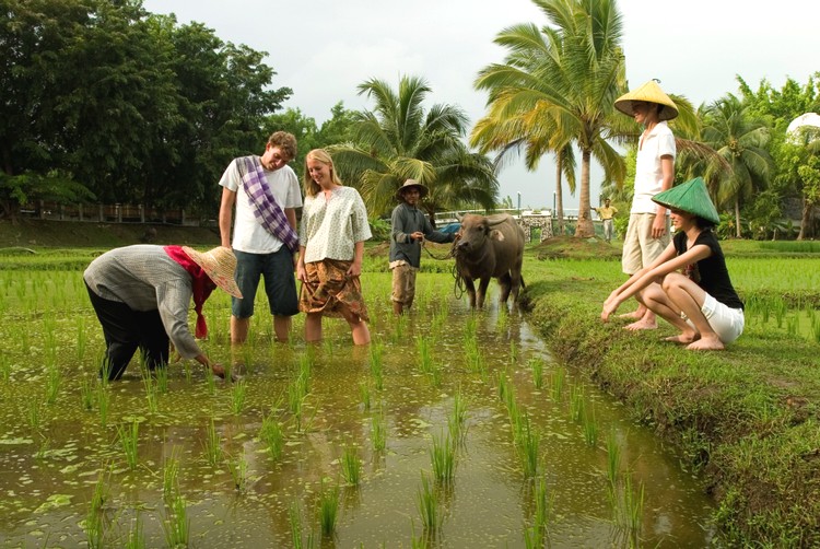 马来西亚小众海岛旅游攻略,马来西亚卡威岛旅游攻略