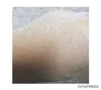 适合抗氧化的面膜真实测评,冷门面膜分享4款亲测实力派面膜