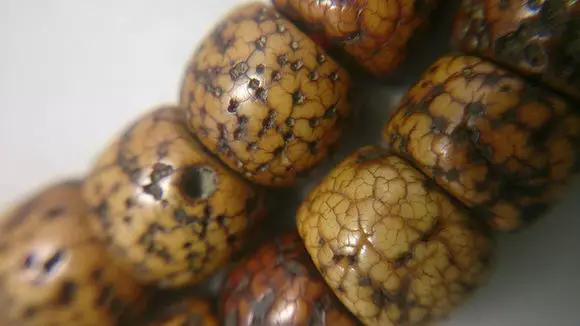 你的是不是老珠子,自己心里没点X数吗?