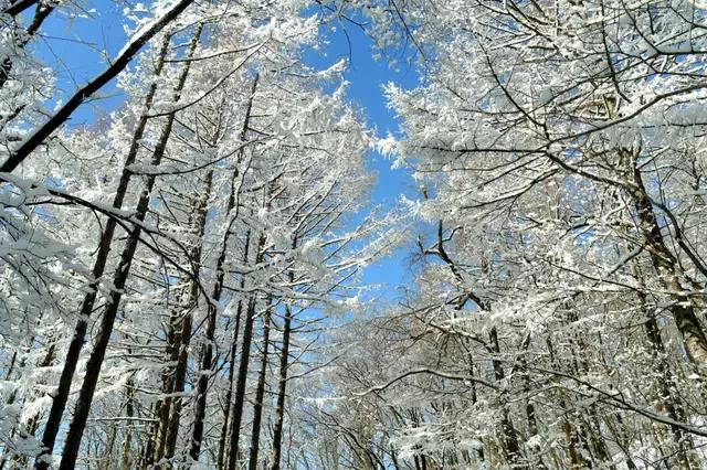 吉林省通化市柳河,吉林通化县柳河