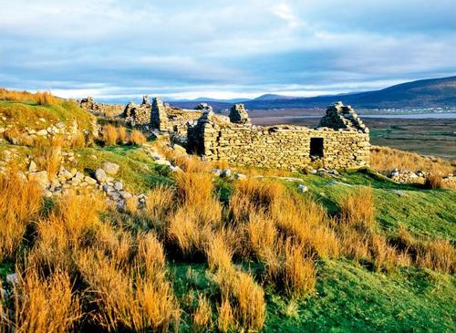 爱尔兰饥荒真实事件,爱尔兰饥荒真实原因