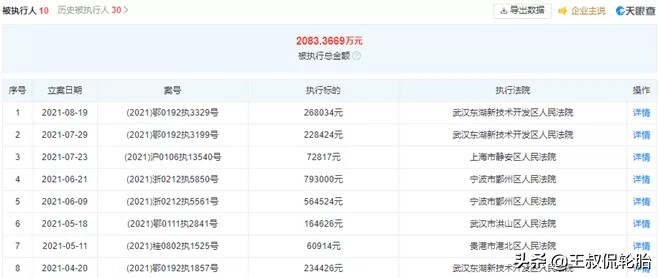 资本介入轮胎行业到底行不行
