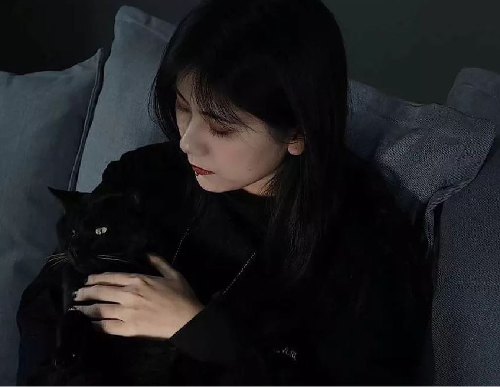 猫粮的秘密什么猫粮好而不贵,到底该怎么选择猫粮