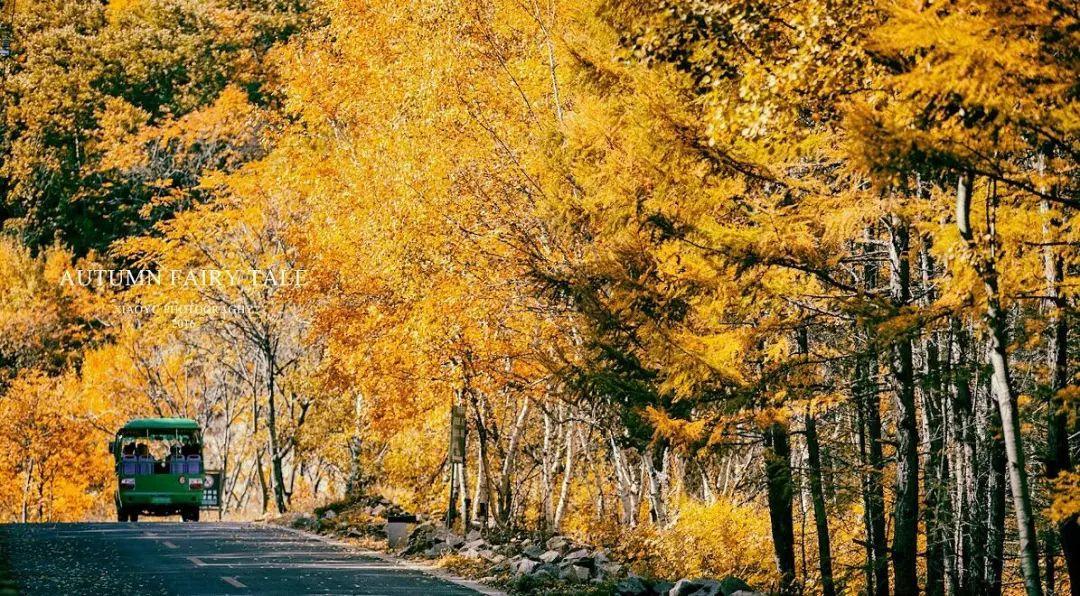 北京赏秋十大打卡地,北京赏秋