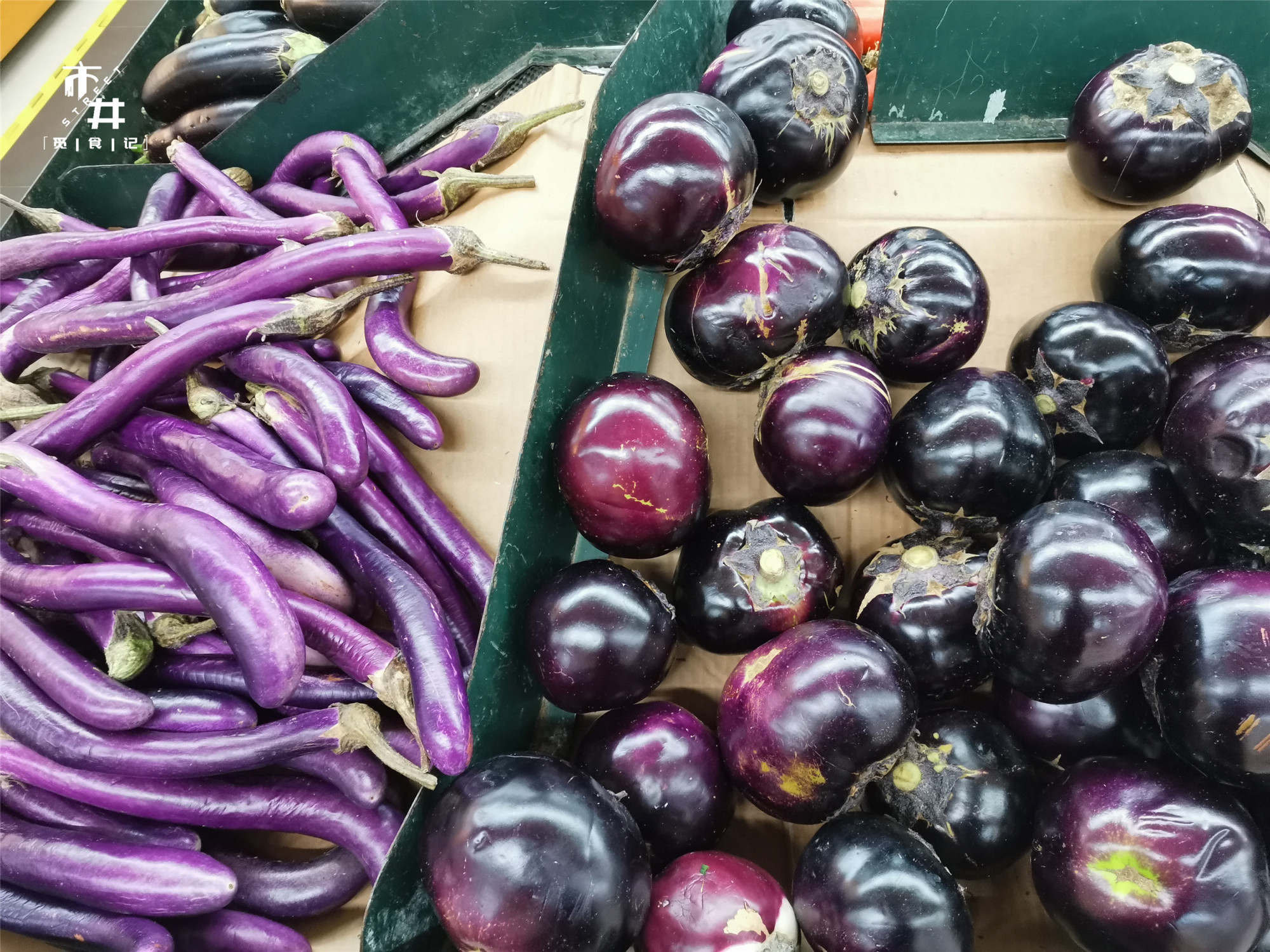 圆茄子和长茄子哪个便宜 (选圆茄子还是长茄子)