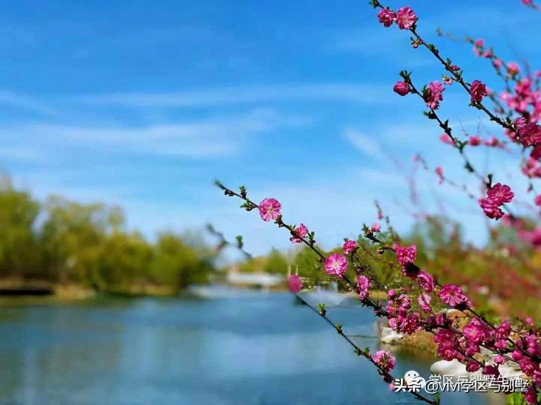 格拉斯小镇别墅外观图,格拉斯小镇2000平别墅