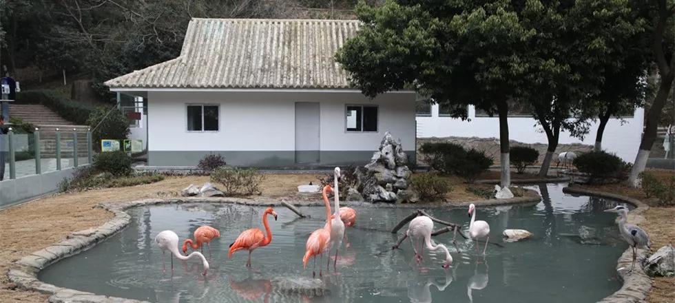 温州旅游景区排行榜前十名,温州十大免费景区排行榜最新