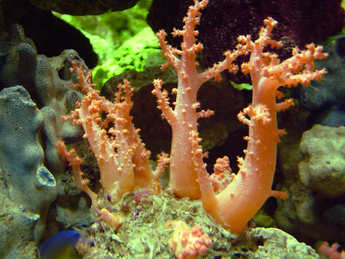 成都海底世界极地海洋馆照片,成都最出片的海洋馆