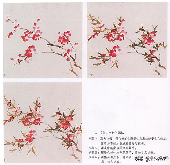 怎样画国画桃花的绘画技法,国画写意桃花技法视频