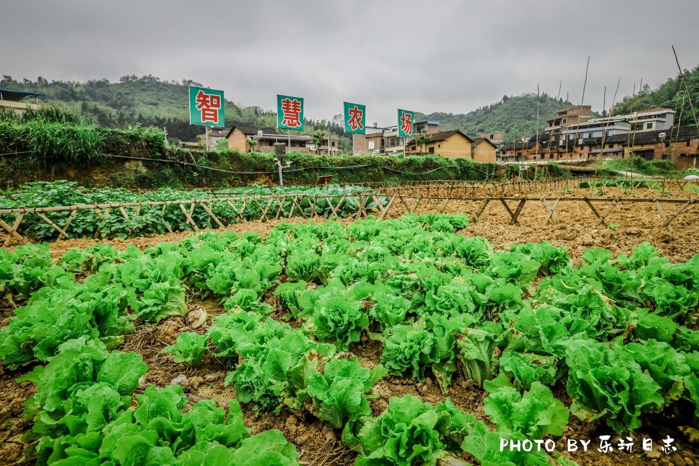 郴州最好的民宿排行榜,郴州山上的民宿推荐