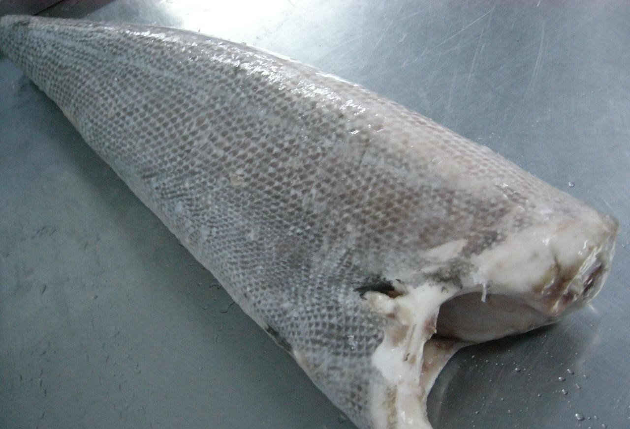 进口鳕鱼检测阳性,进口鳕鱼会有新冠病毒吗