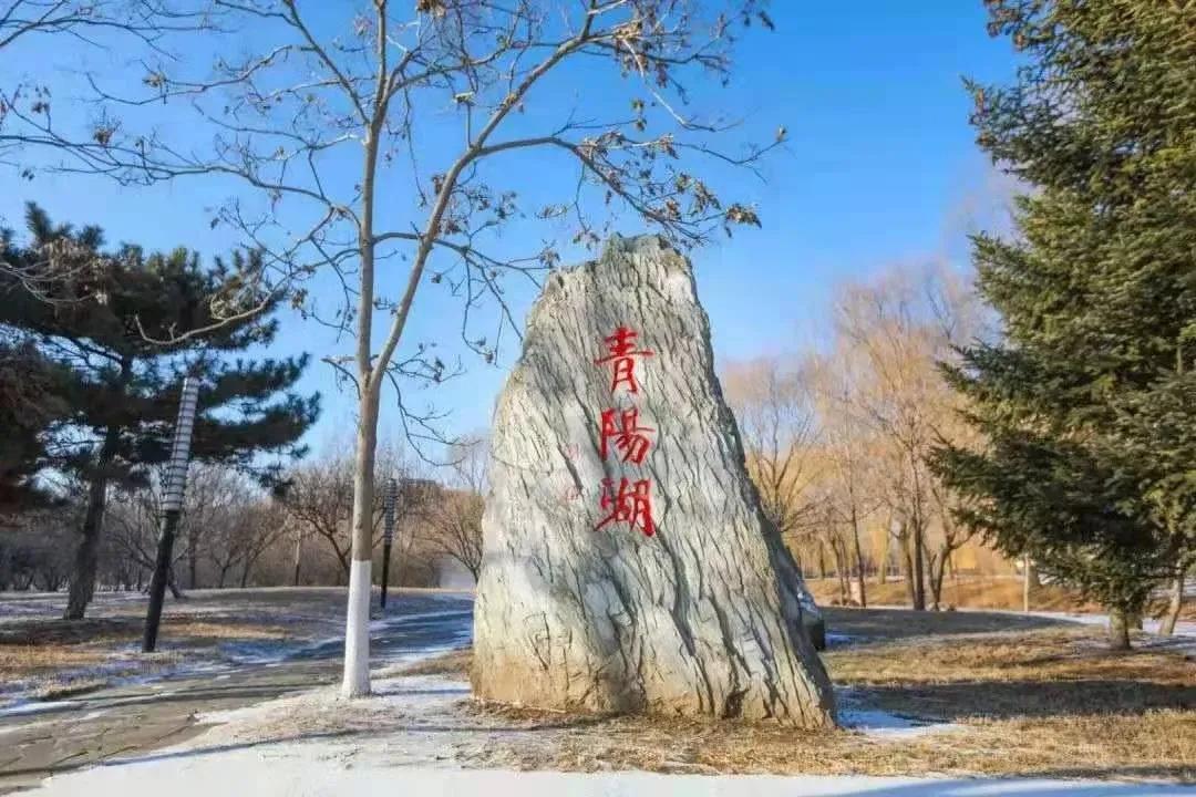 辽宁省高等院校分布图,辽宁省高考报考沈阳航空航天大学