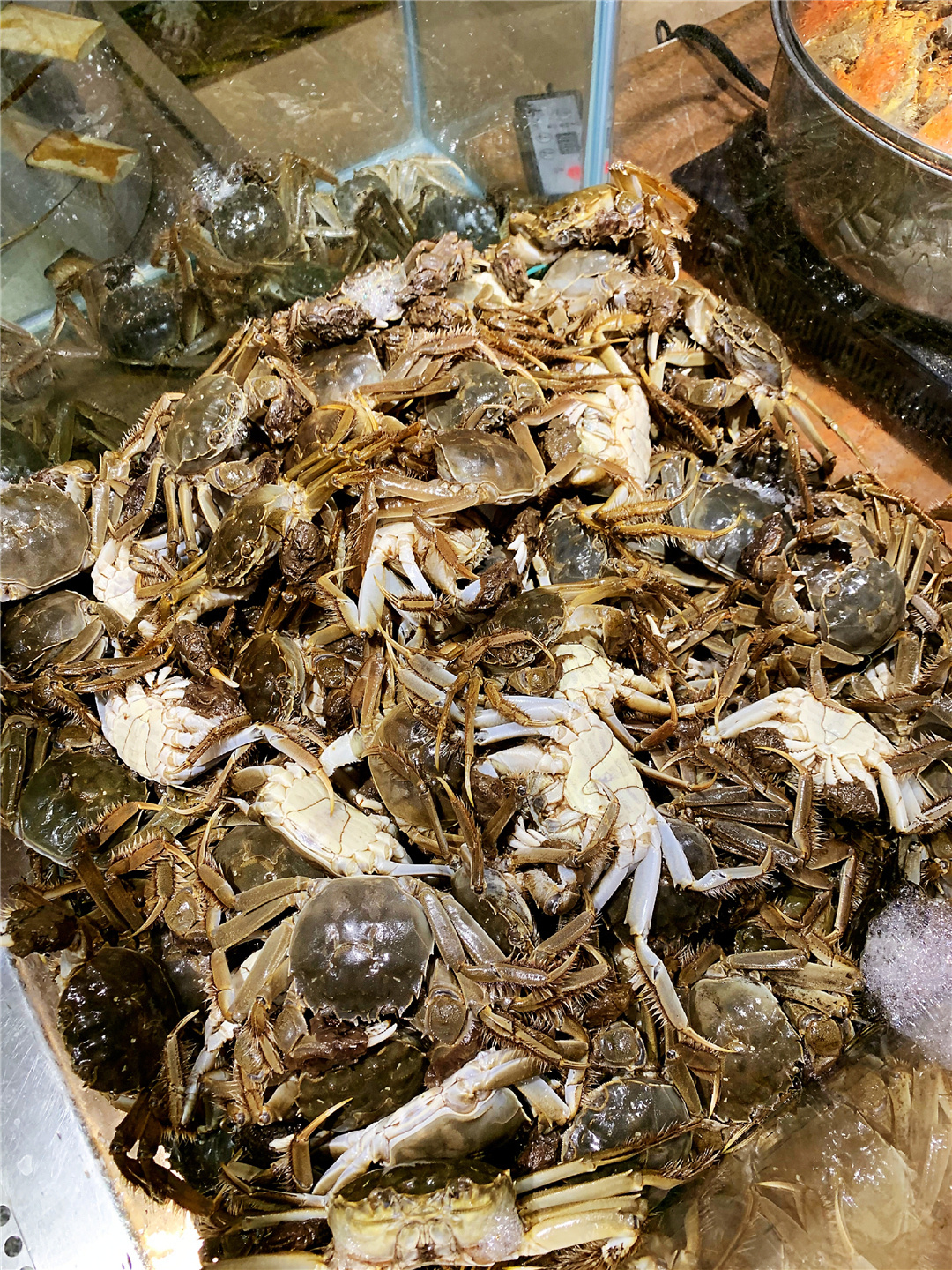 长春国信南山温泉酒店有没有汗蒸,2个亿建的温泉