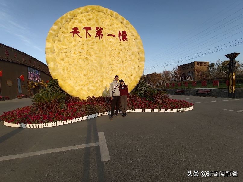 新疆棉花涨势,新疆棉花经济热点