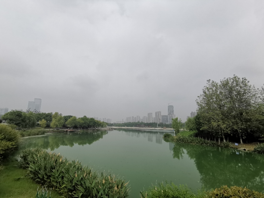 塘西河公园最新视频,塘西河湿地公园