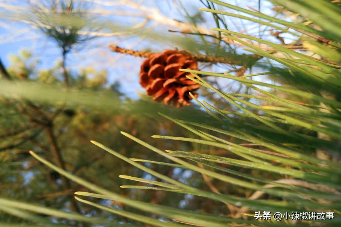 安妮生气了绘本,安妮生气的时候