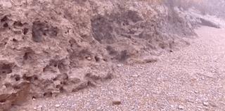 秋风起，欧美各国一提这种生物就如临大敌，一只活的能卖50美元