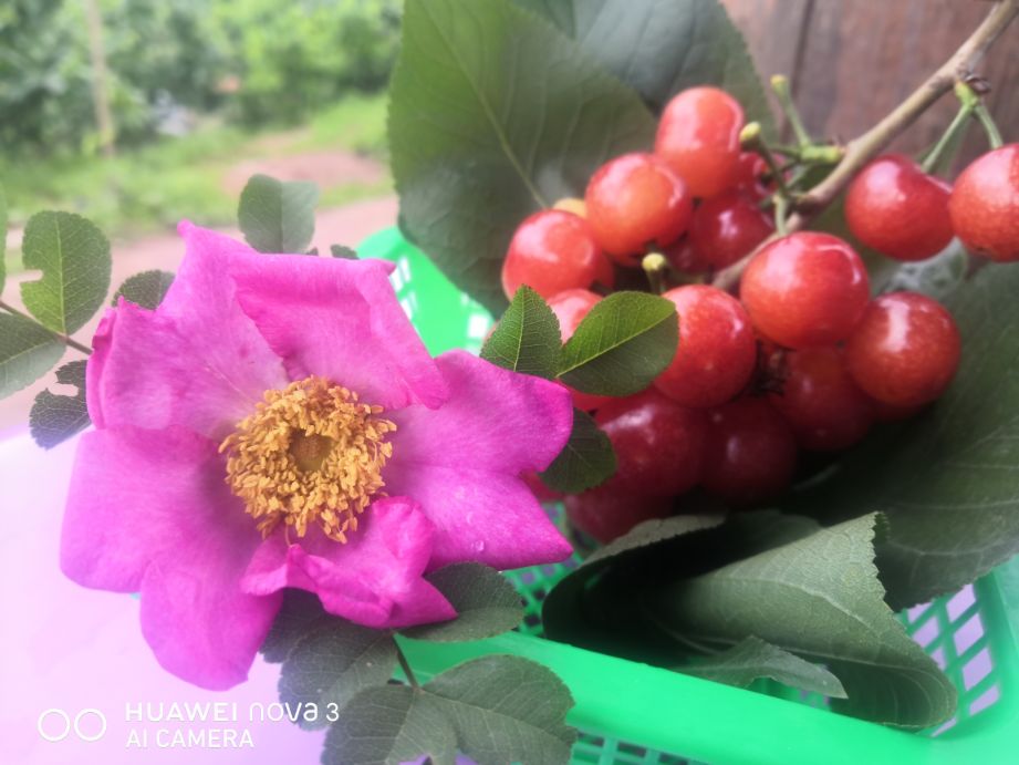 成都周边休闲圣地推荐,成都附近游玩推荐一日游